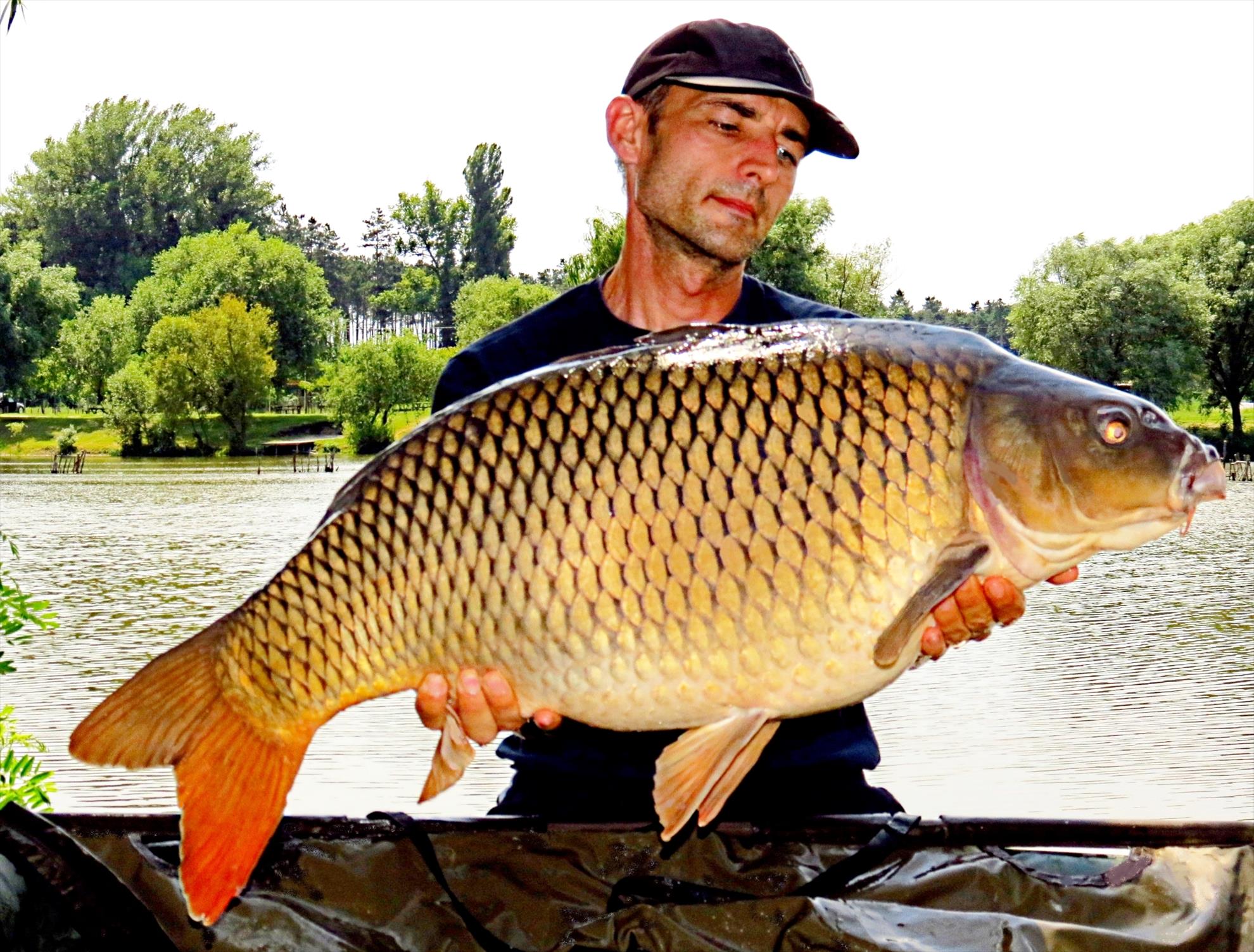 Palici - img5872-1498-kg.JPG